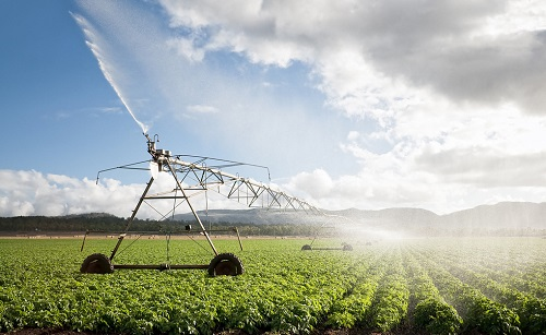 1646818557138223.png image.png