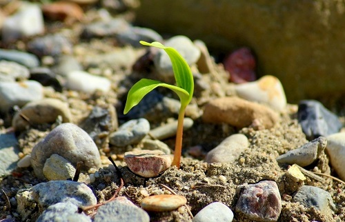 1648879535591956.png image.png