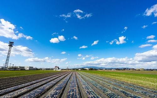 1652931522187295.png image.png