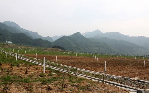 1677137547184766.png image.png