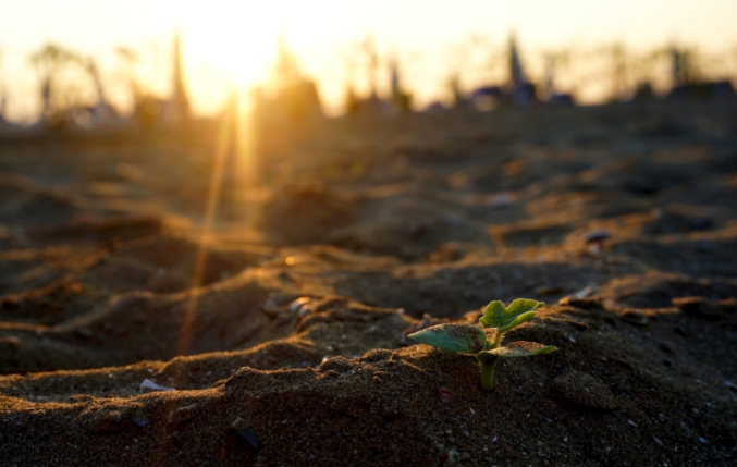 1679290307936117.png 1679290307936117.png