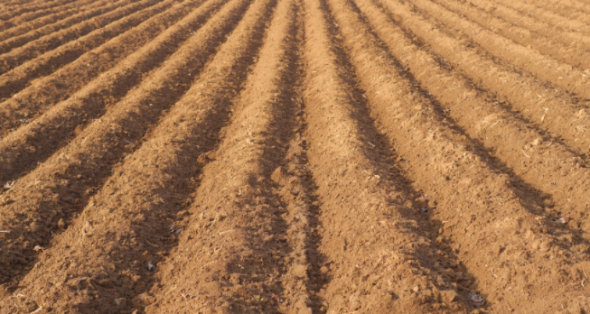 �����B�֙z�y�x�ęz�yԭ��