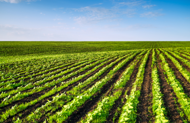 1684292959761942.png 1684292959761942.png